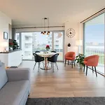 Stylish With Terrace In Apartment